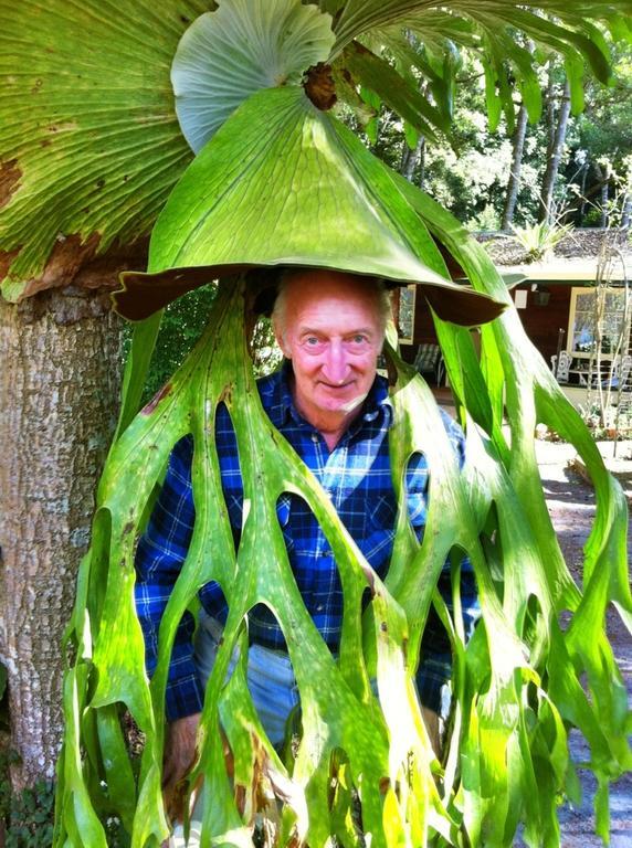 Curtis Cottage ภูเขาแทมโบรีน ภายนอก รูปภาพ